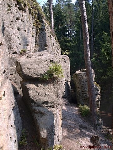 img00008.jpg