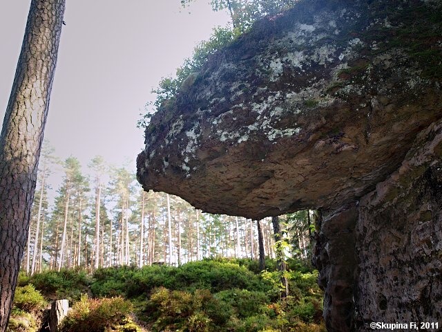 img00009.jpg
