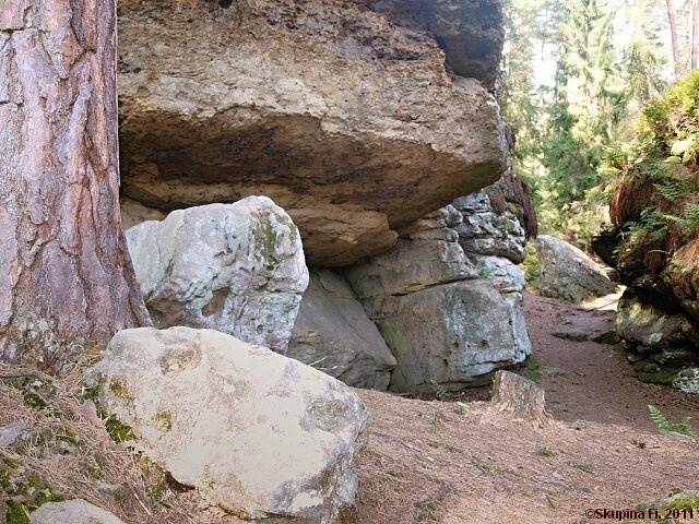 img00010.jpg
