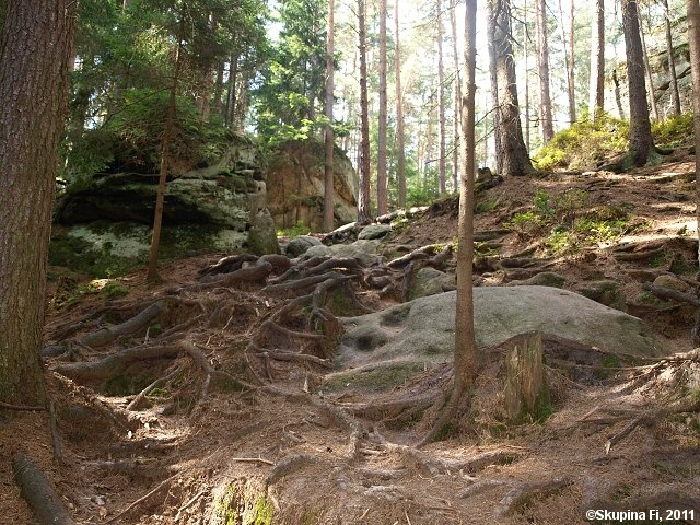 img00011.jpg