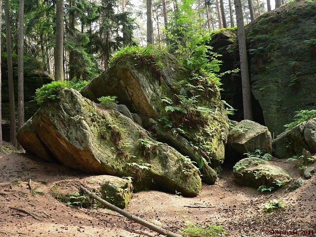 img00013.jpg