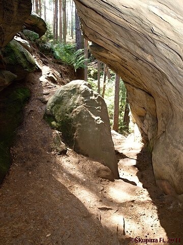 img00015.jpg