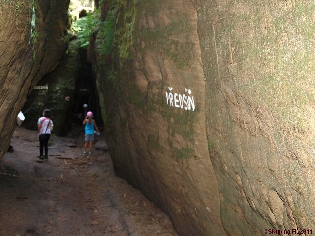 img00019.jpg