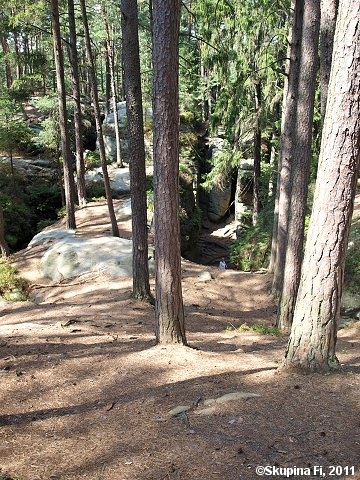 img00021.jpg