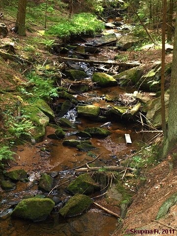 img00027.jpg