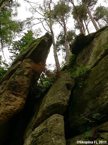 img00033.jpg