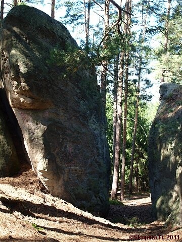 img00036.jpg