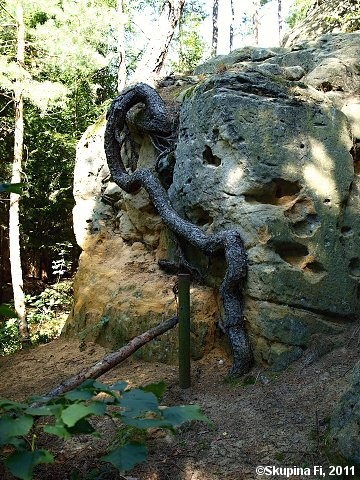 img00037.jpg