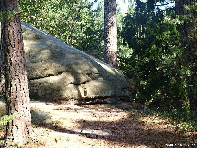 img00038.jpg