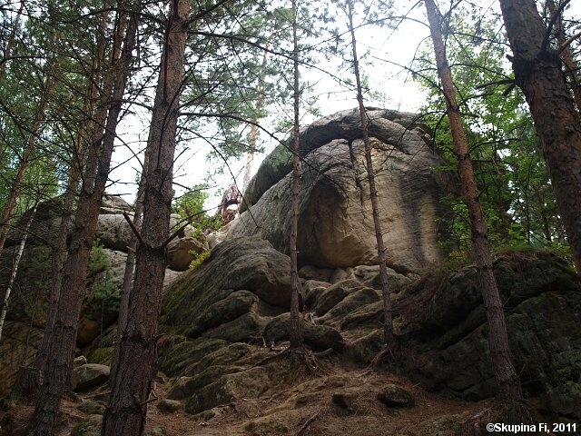 img00040.jpg