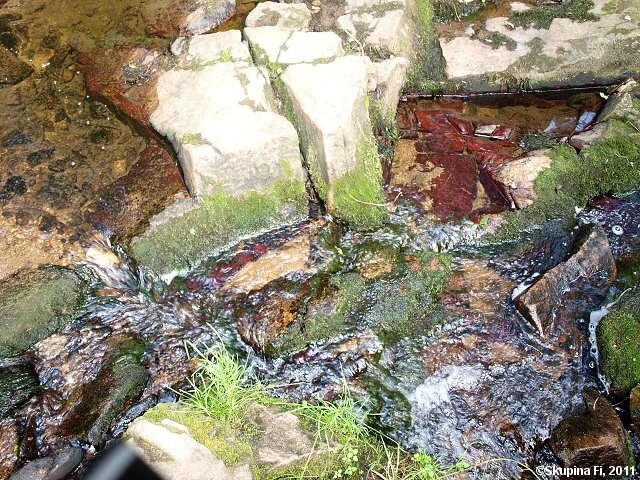 img00041.jpg