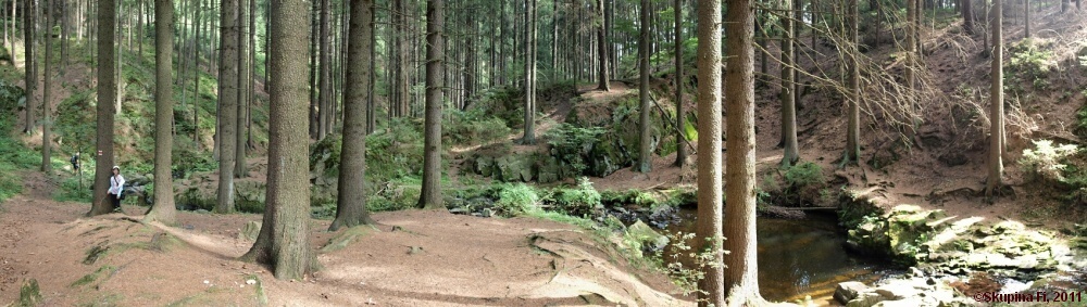 img00042.jpg