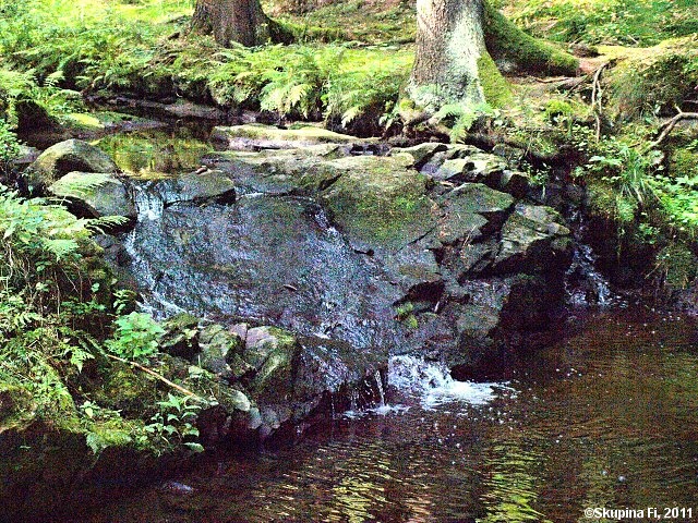 img00043.jpg