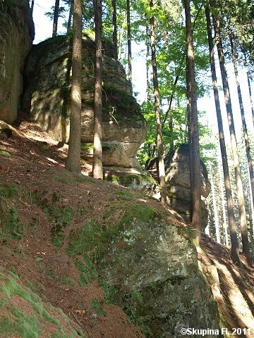 img00046.jpg