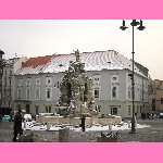Zeln� trh