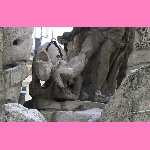trojhlav� Kerberos
