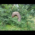 Lednice/Valtice - Ti Grcie