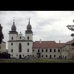 Teb - zmek